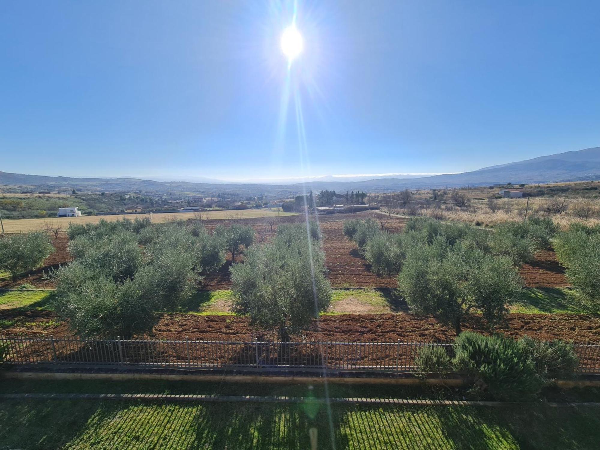 B&B La Petrosa Frascineto Bagian luar foto